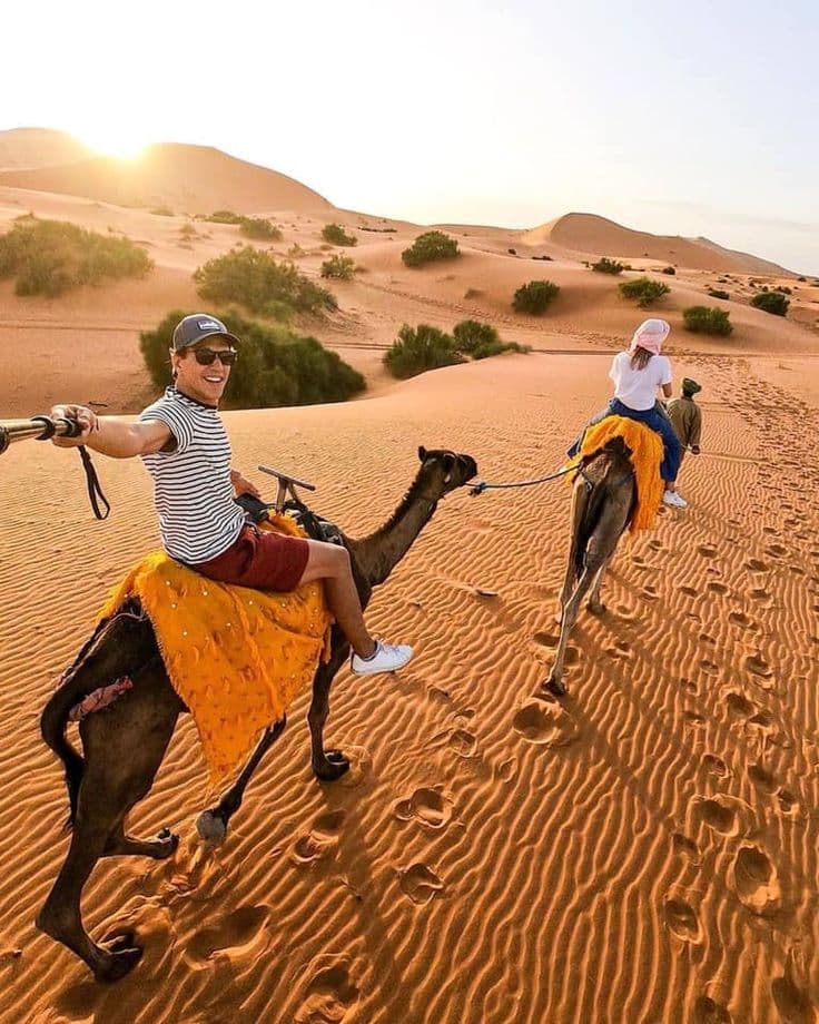 Camel Safari Dubai in Dubai desert
