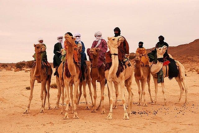 Family-Friendly Camel Safaris in Dubai: Fun for All Ages