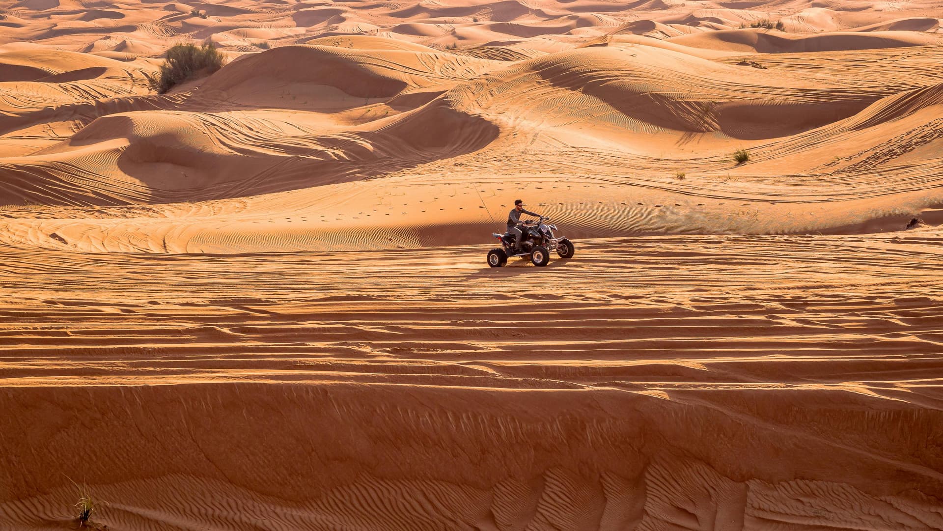 Action shot of quad bike rider