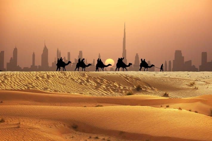 Sunset Camel Safari in Dubai: A Magical Desert Experience