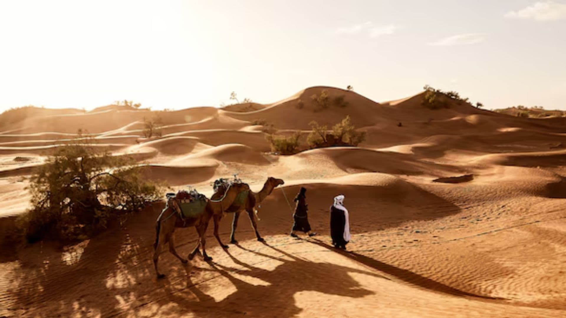 Dune Buggy Tour Dubai: The Ultimate Desert Adventure