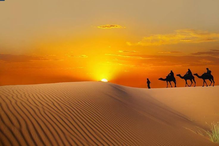 Camel riding at sunset on a Dubai desert safari