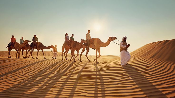 Camel ride in Dubai’s desert dunes