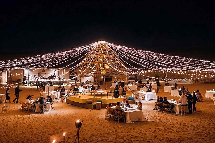 Camel ride and starlit dinner experience in Dubai