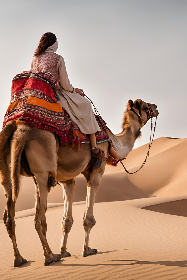 Close-up of a camel during a Dubai desert safari