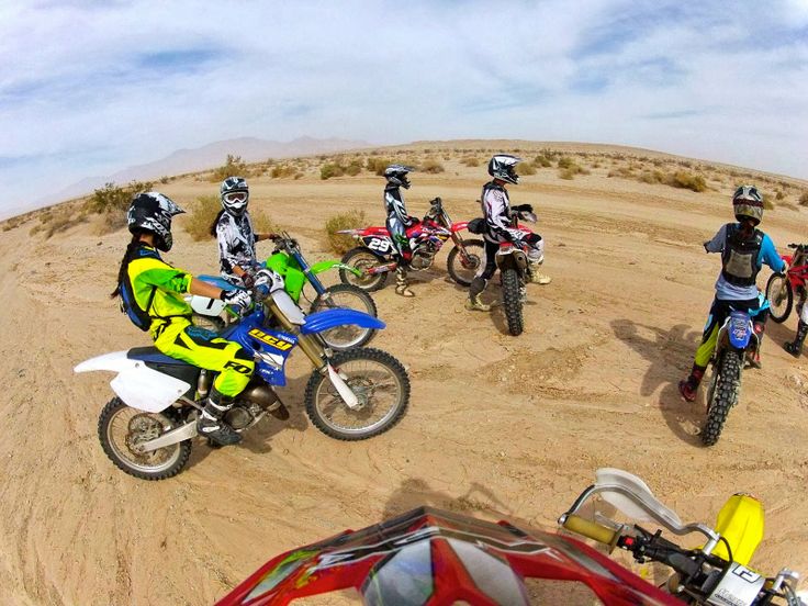 Fat bikes ready for rental in Dubai’s desert landscape