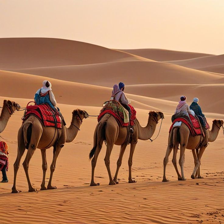 Group enjoying a camel safari in Dubai’s desert dunes