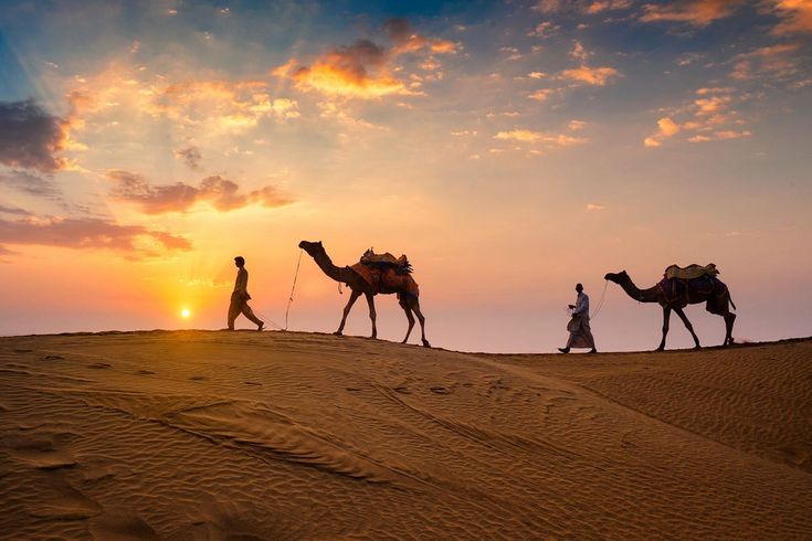 Stunning sunset during a camel ride in Dubai’s desert